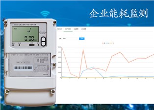 企业能耗监测—老王说表